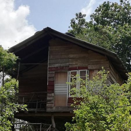 Sigiri Forest View Сигирия Экстерьер фото