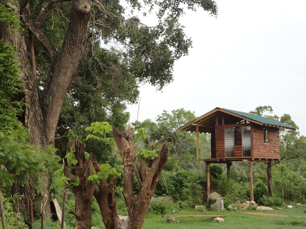 Sigiri Forest View Сигирия Экстерьер фото
