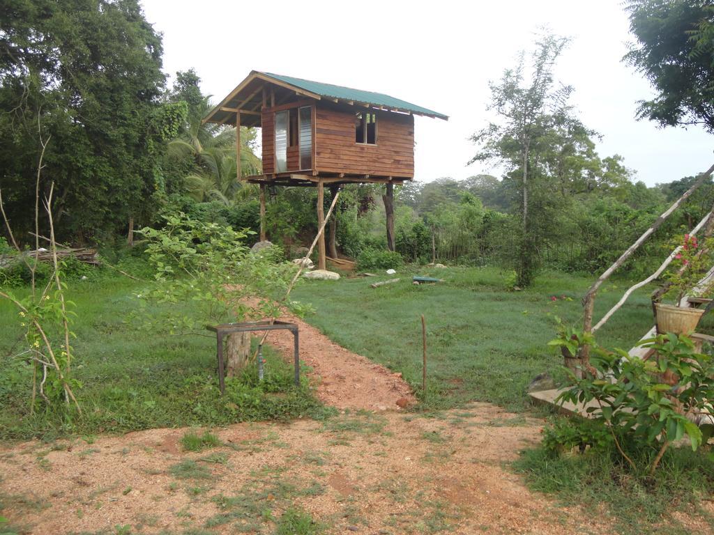 Sigiri Forest View Сигирия Экстерьер фото