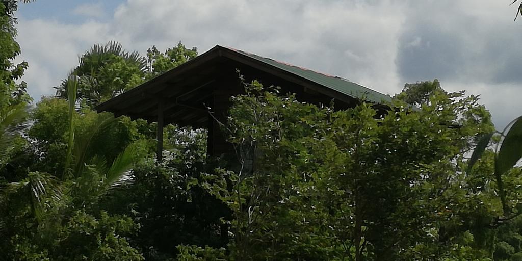 Sigiri Forest View Сигирия Экстерьер фото