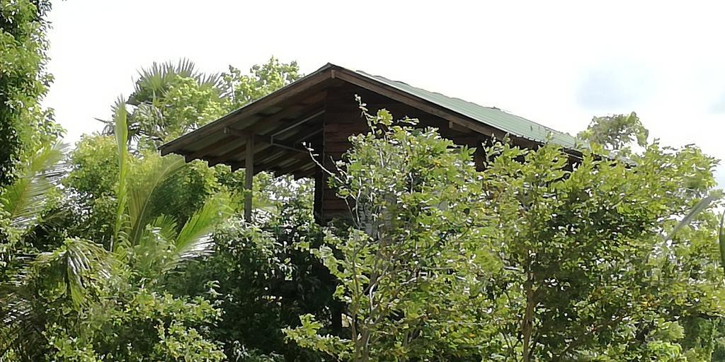 Sigiri Forest View Сигирия Экстерьер фото