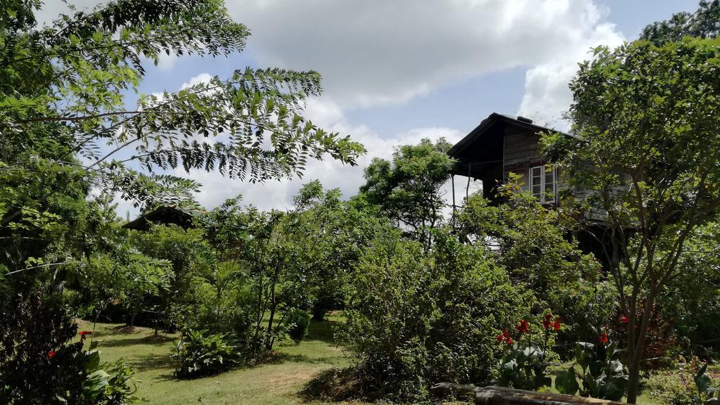 Sigiri Forest View Сигирия Экстерьер фото